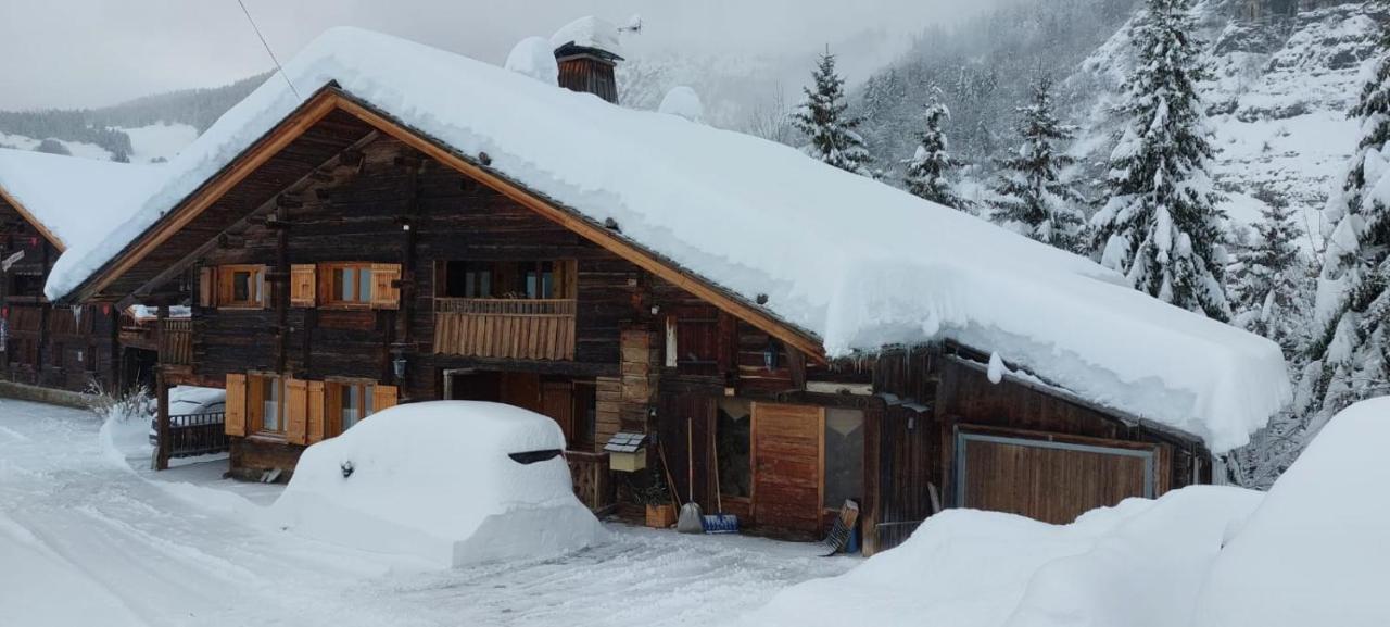 Lachat Appartement En Chalet Typique Льо Гран-Борнан Екстериор снимка