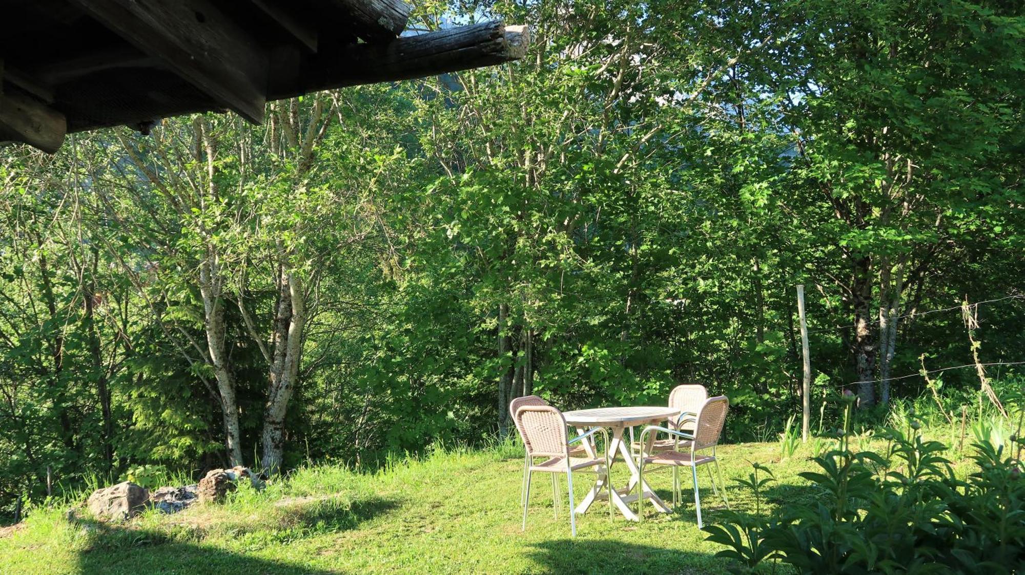 Lachat Appartement En Chalet Typique Льо Гран-Борнан Екстериор снимка